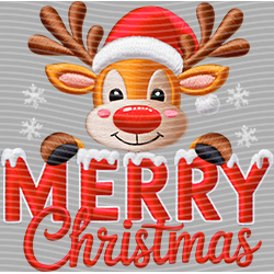 Christmas-ADJ 11566